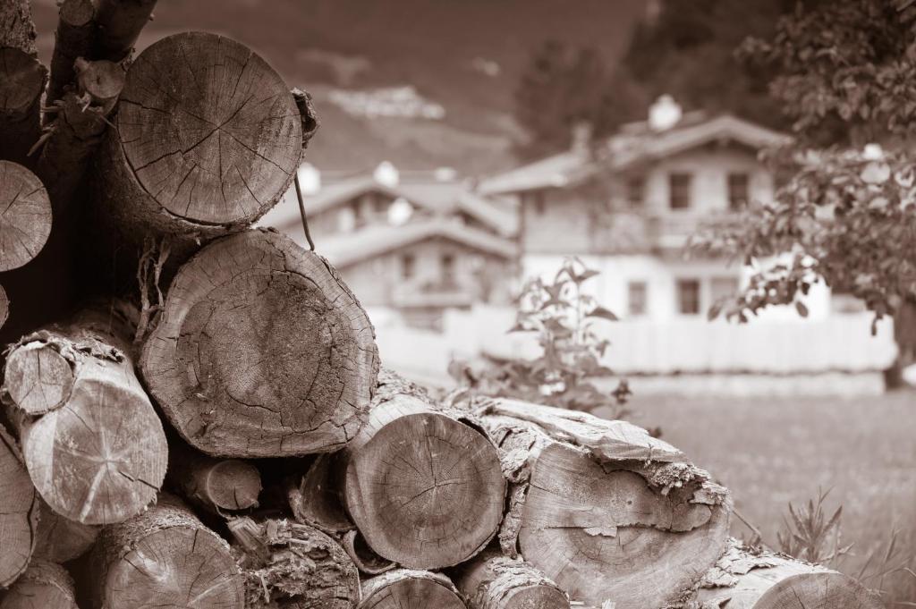 Huettendorf Ladizium Ladis Pokoj fotografie